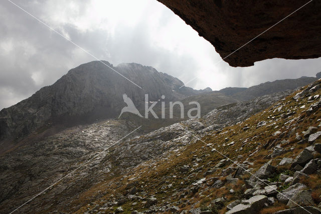 Pyrenees