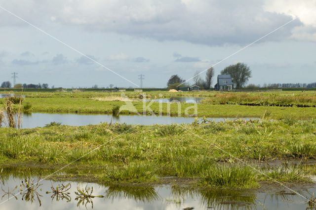 Wormer- en Jisperveld