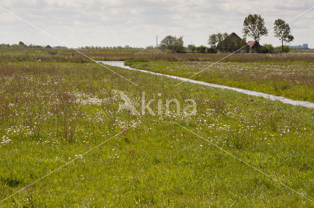 Wormer- en Jisperveld