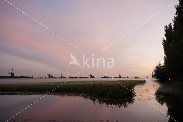 Kinderdijk