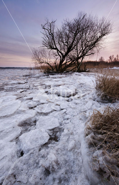 Nationaal Park de Biesbosch