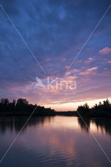 Nationaal Park de Biesbosch