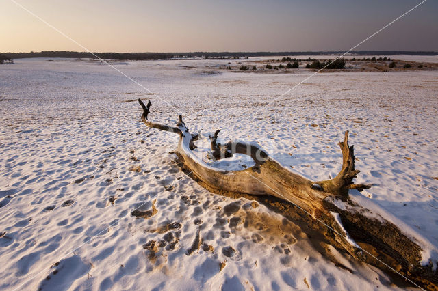 Nationaal Park Loonse en Drunense Duinen