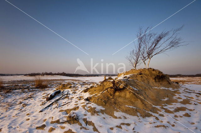 Nationaal Park Loonse en Drunense Duinen