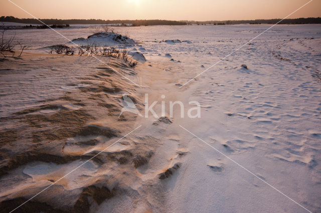 National Park Loonse en Drunense Duinen