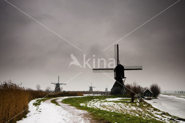 Kinderdijk