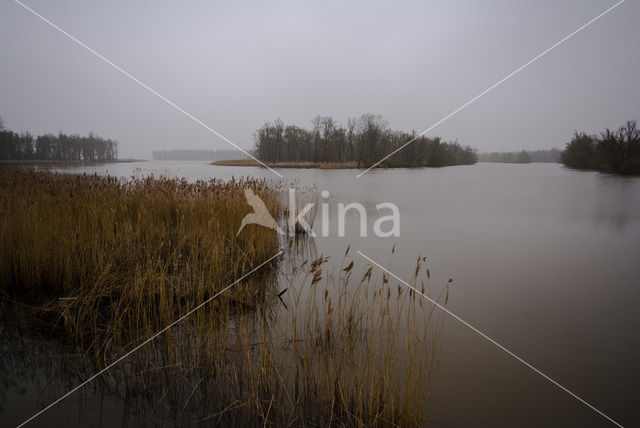 Nationaal Park de Biesbosch