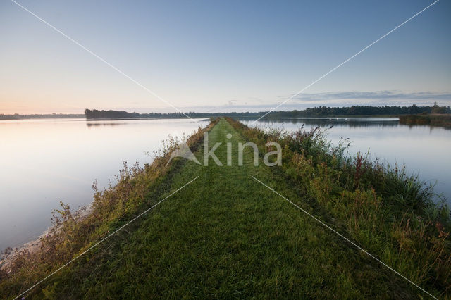 Nationaal Park de Biesbosch