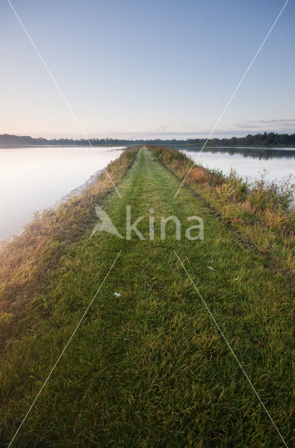 Nationaal Park de Biesbosch