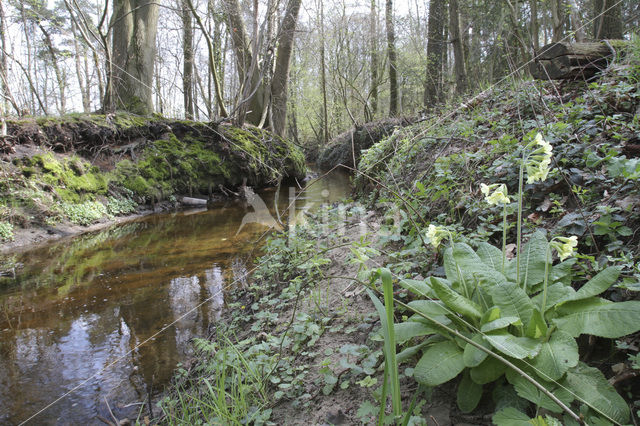 Poortbultenbeek