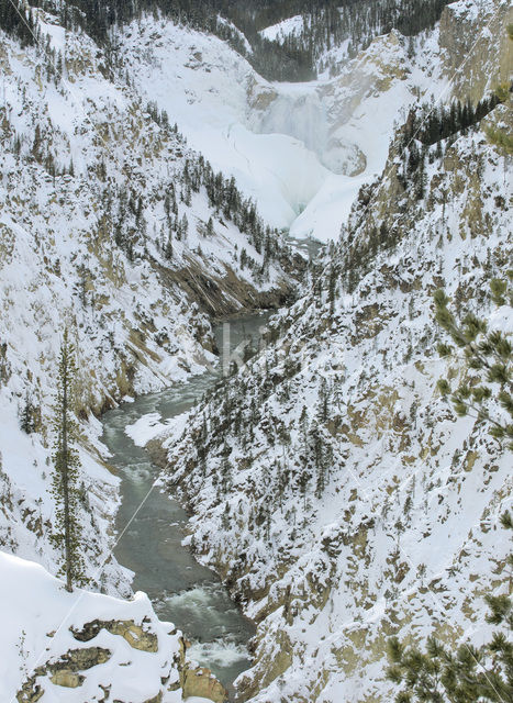 Yellowstone National Park