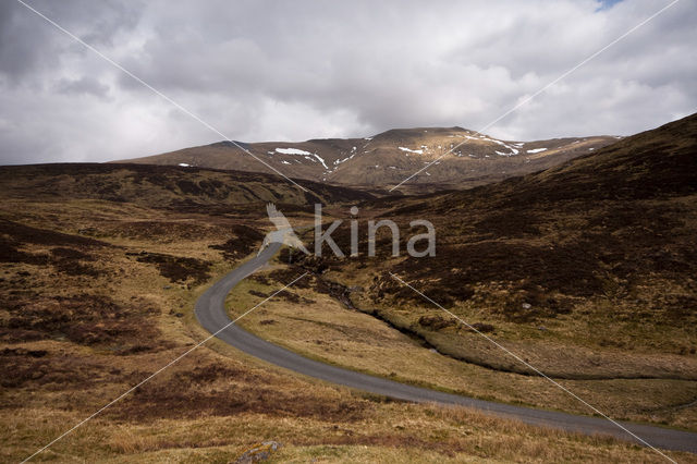 Ben Lawers