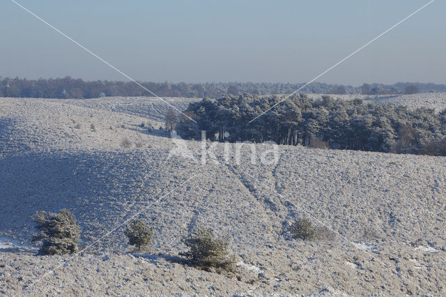 Nationaal Park Veluwezoom