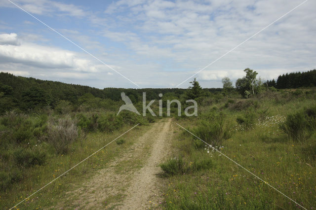 Nationalpark Eifel