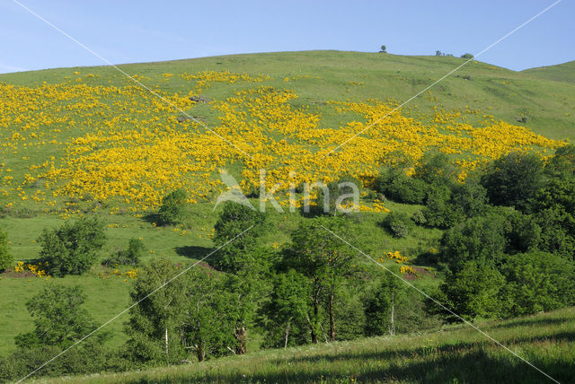 Parc naturel régional des Volcans d'Auvergne