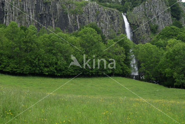 Parc naturel régional des Volcans d'Auvergne