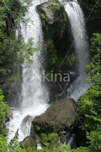 Parc naturel régional des Volcans d'Auvergne