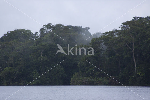 Parque nacional Tortuguero