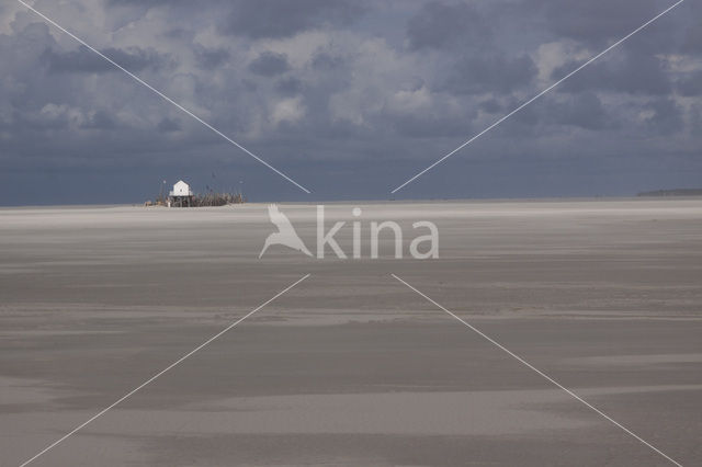 Waddenzee