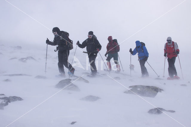 Dovrefjell National Park