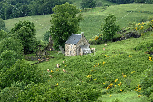 Parc naturel régional des Volcans d'Auvergne