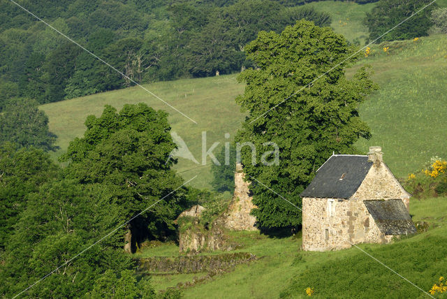 Parc naturel régional des Volcans d'Auvergne