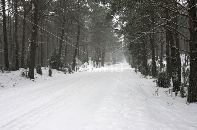 Biebrza National Park