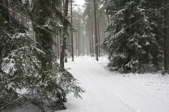 Biebrza National Park