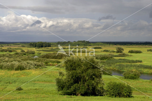 Biebrza National Park