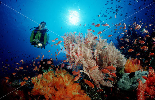 Komodo National Park