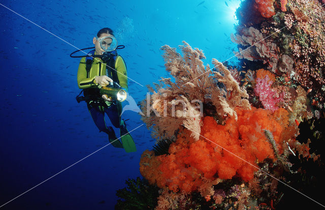 Komodo National Park