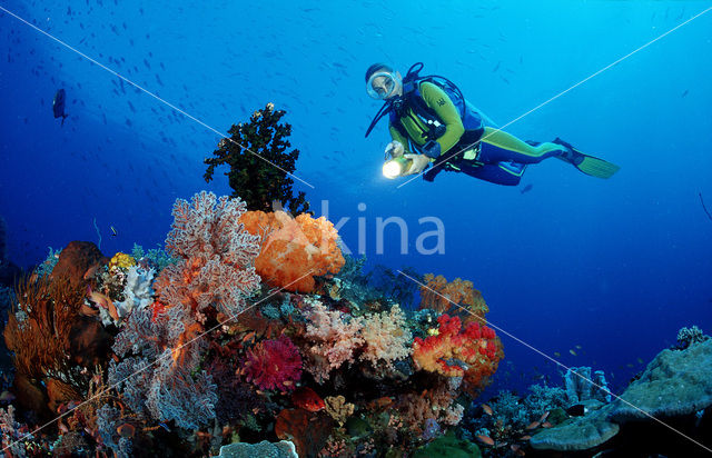 Komodo National Park