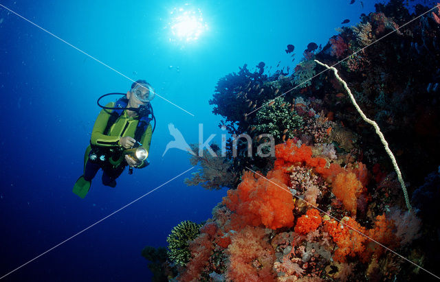 Komodo National Park