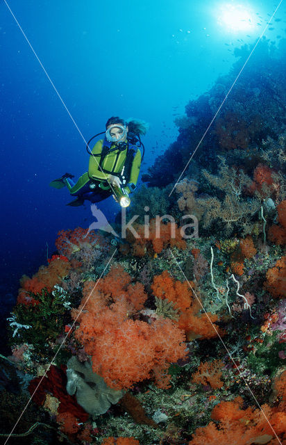 Komodo National Park