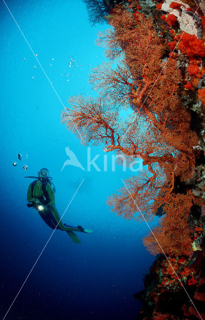 Komodo National Park