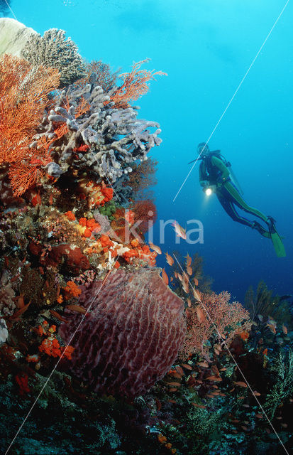 Komodo National Park