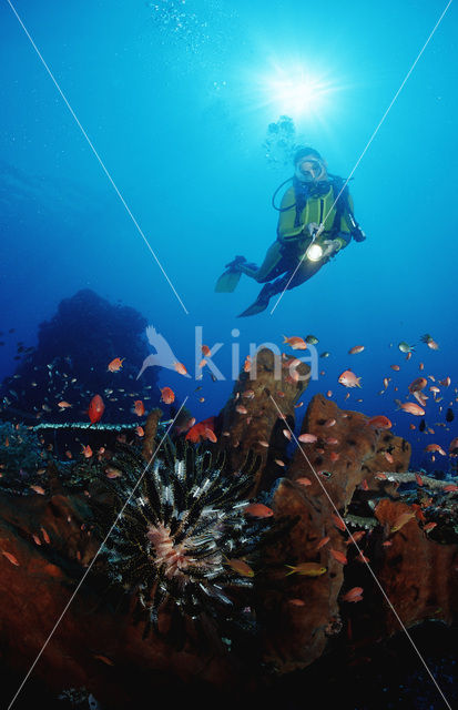 Komodo National Park