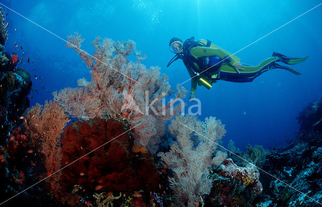 Komodo National Park