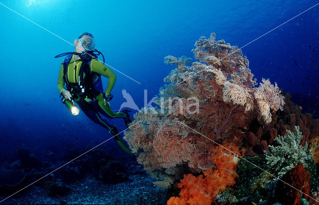 Komodo National Park