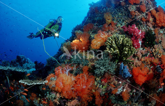 Komodo National Park