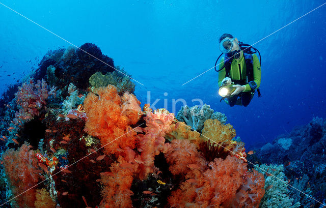 Komodo National Park