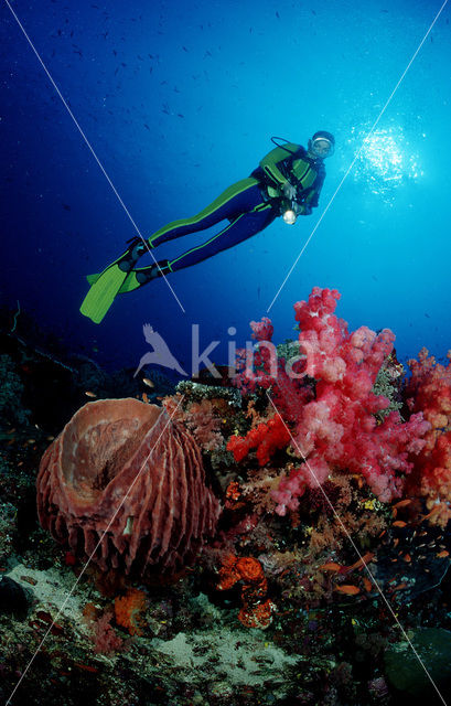 Komodo National Park