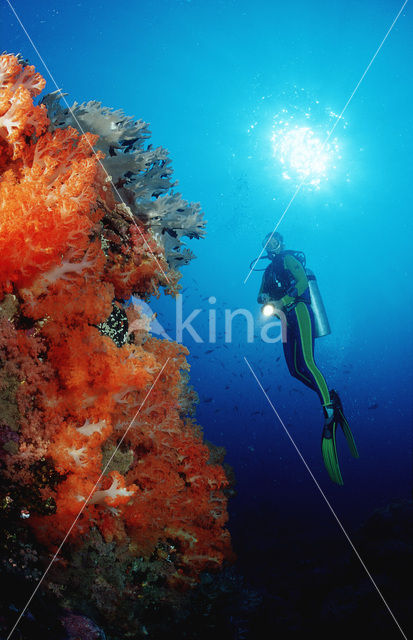 Komodo National Park