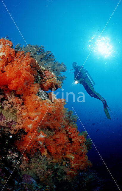 Komodo National Park