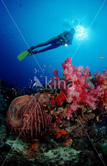 Komodo National Park