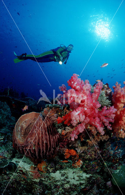 Komodo National Park