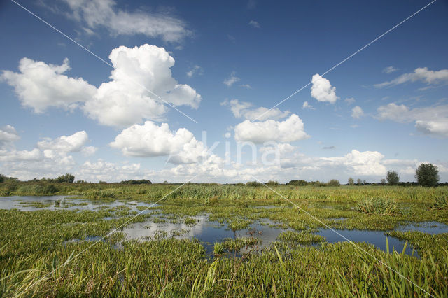 National Park De Alde Feanen