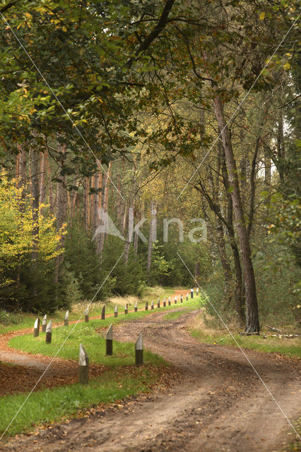 Nationaal Park Sallandse Heuvelrug