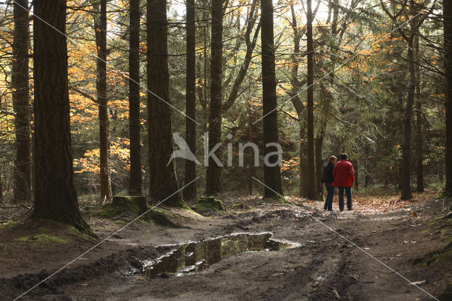 Nationaal Park Sallandse Heuvelrug