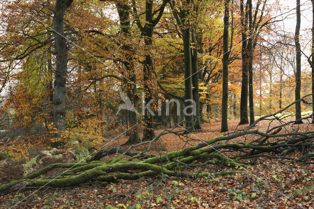 Nationaal Park Veluwezoom